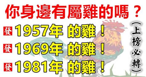 屬雞1981|【1981年 生肖】1981年雞年：命運、運勢大解密！